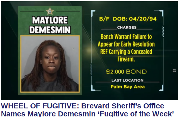 Palm Bay, Florida Crime News for Nov. 2020