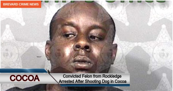 Cocoa, Florida Crime News Flash: Animal Cruelty Arrest